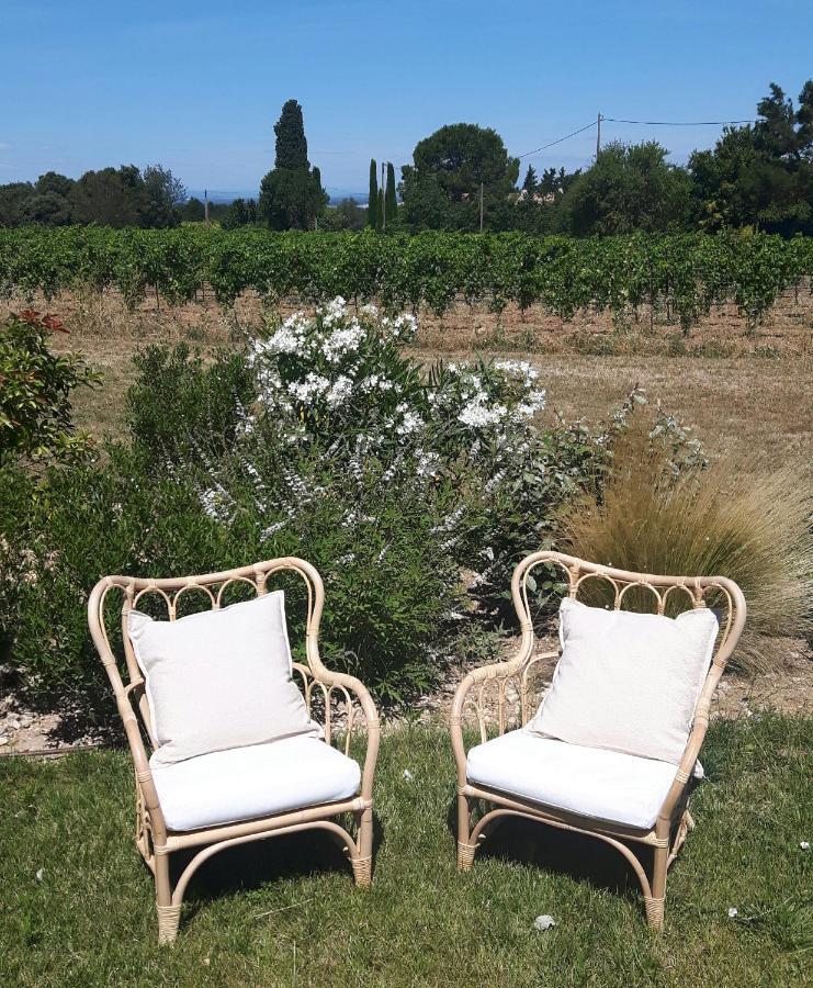 Le Cottage Du Chat Blanc Saint Didier  Esterno foto