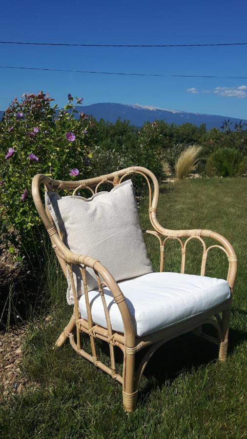 Le Cottage Du Chat Blanc Saint Didier  Esterno foto