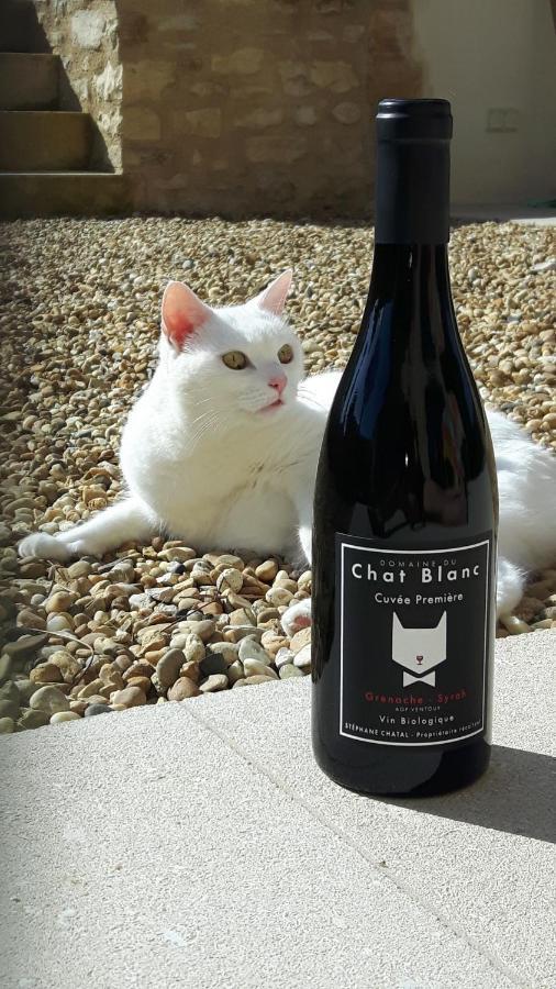 Le Cottage Du Chat Blanc Saint Didier  Esterno foto