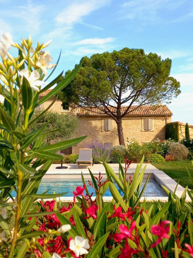 Le Cottage Du Chat Blanc Saint Didier  Esterno foto